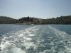 DSC00195